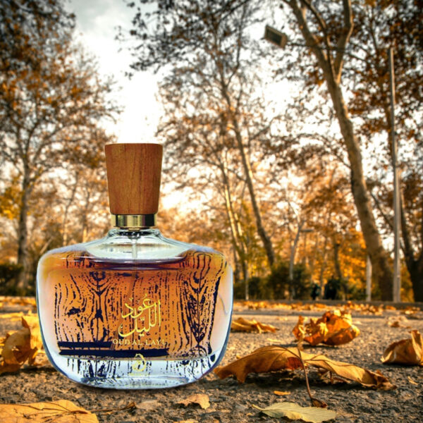 Oud Al Layl Perfume By Arabiyat for Unisex - EDP - 100ml - Image 3